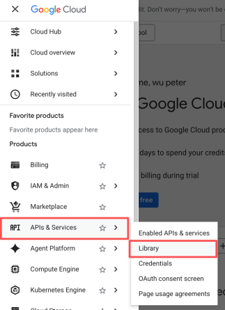 Figure 5 - Open the API Library